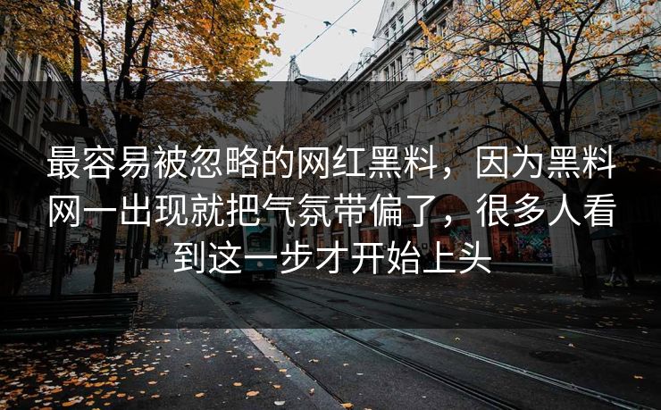 最容易被忽略的网红黑料，因为黑料网一出现就把气氛带偏了，很多人看到这一步才开始上头