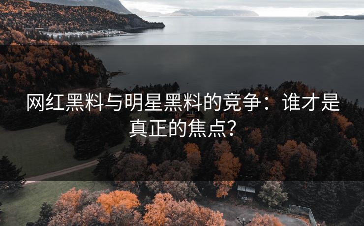 网红黑料与明星黑料的竞争：谁才是真正的焦点？